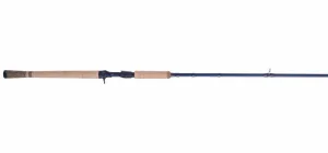 Fenwick Eagle Cast Medium 2 Piece Salmon/Steelhead 10-20lb 24 Ton Graphite Prem Cork Tach Grip SS Guide with Alum Oxite Insrts 9'6 EAG96M-MFC-2