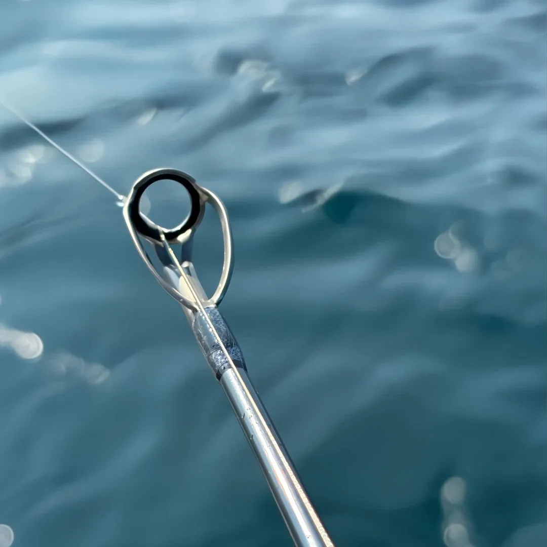 LIVEWIRE DIPSY DIVER ROD 4 PACK SET